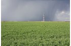 Property photo 99 - LAND AUCTION, 3255+/- Acres offered in 13 Tracts